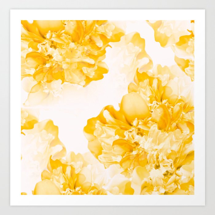 Beautiful Peony Flowers White Background #decor #society6 #buyart Art Print  by pivivikstrm | Society6