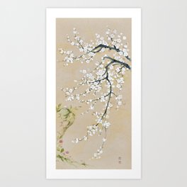Ume flower painting,korean painting. chinoiserie. Art Print