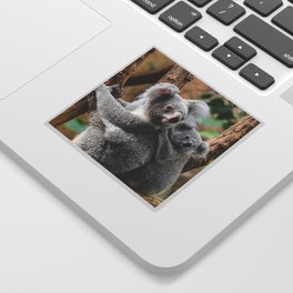Koala mom and child Sticker