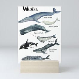 Watercolor Whales  Mini Art Print