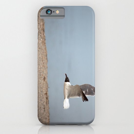 Laughing Gull in Flight iPhone & iPod Case