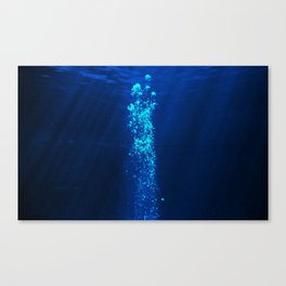 sparkling water Canvas Print