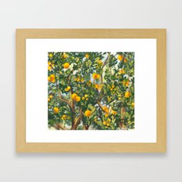 Orange Tree Framed Art Print