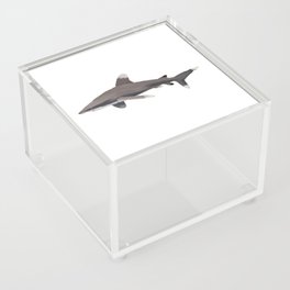 Oceanic whitetip shark (longimanus) Acrylic Box