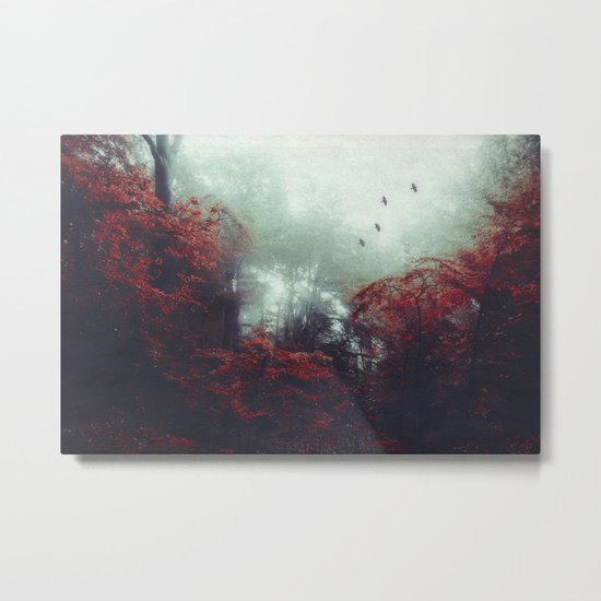Barrier - enchanted forest Metal Print