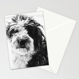 black and white photo of sheepadoodle Stationery Cards