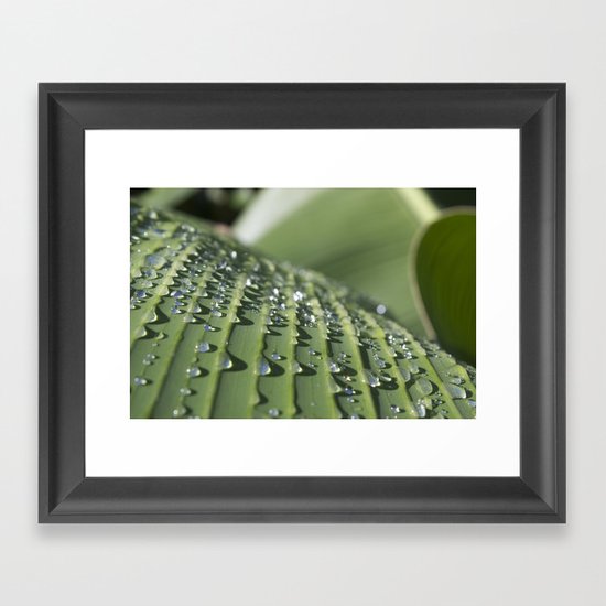 After the rain Framed Art Print