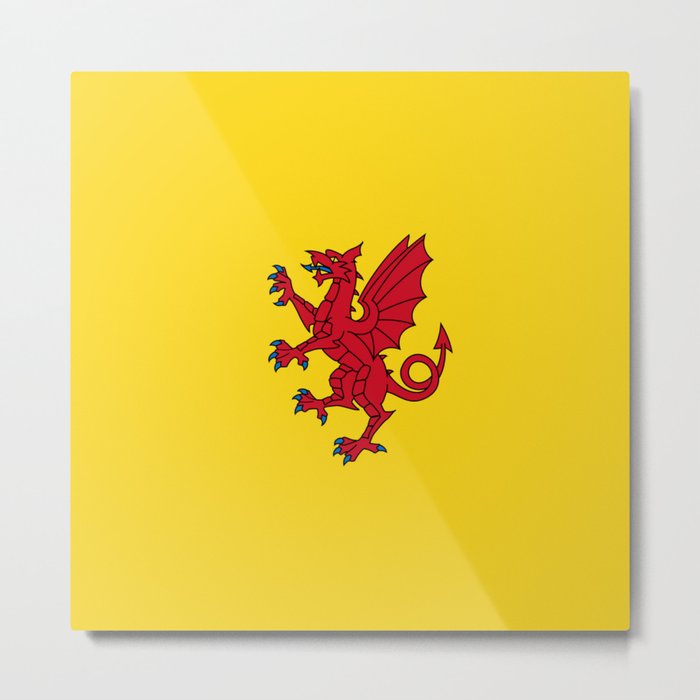 Flag of Somerset Metal Print