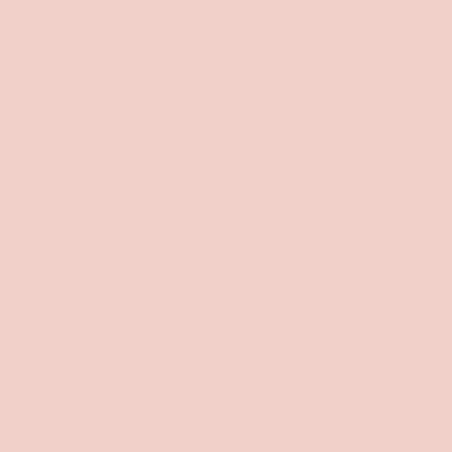 Plain Pastel Pink Color Background Leggings By Tafida Society6 A collection of the top 56 plain pastel wallpapers and backgrounds available for download for free. plain pastel pink color background leggings by tafida