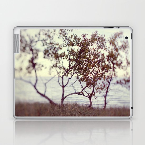 The Coast #2 Laptop & iPad Skin
