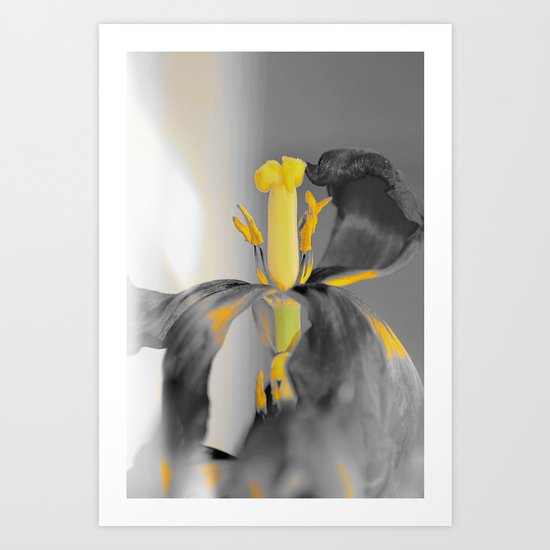 #173 Art Print