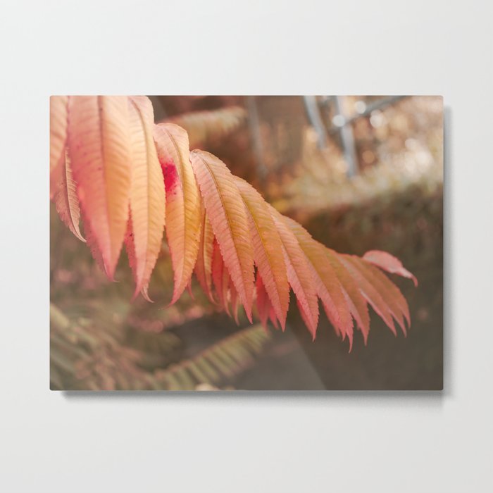 Autumn Colors Leaf Metal Print