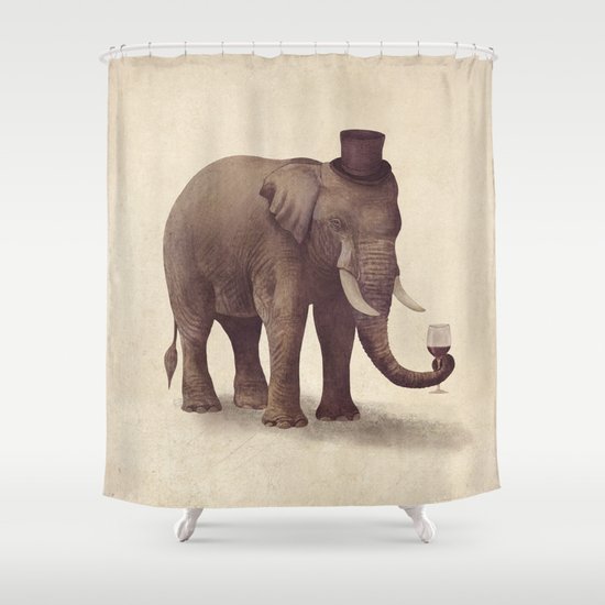 A Fine Vintage Shower Curtain