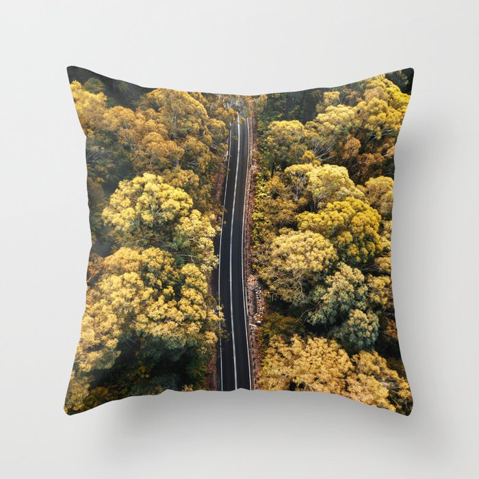 australian road Throw Pillow