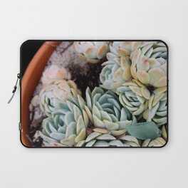 California Potted Succulents Laptop Sleeve
