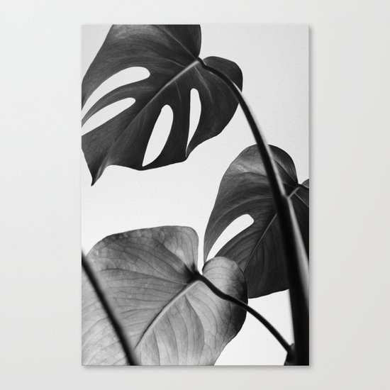 Black & white Monstera Canvas Print