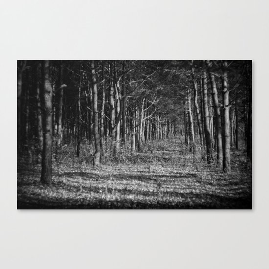 Mystery Canvas Print