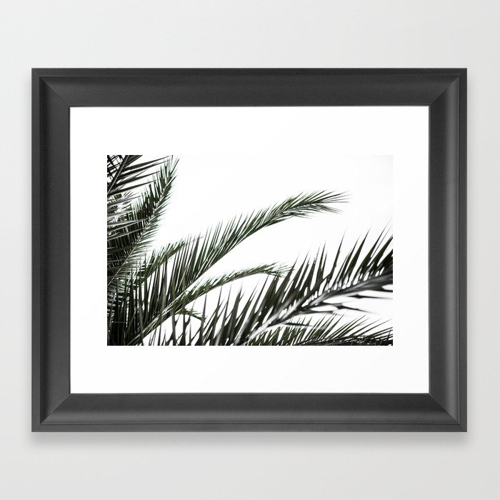 Palm Trees 3 Framed Art Print