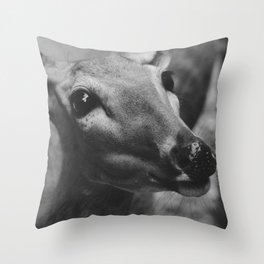 Doe Eyes Throw Pillow