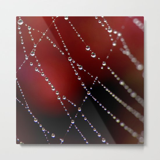 Web Metal Print