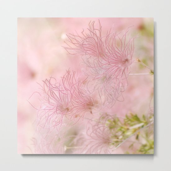Pink Whispers Metal Print