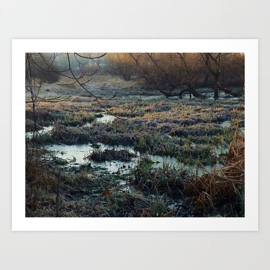 Is This What We've Seen All Along? Art Print
