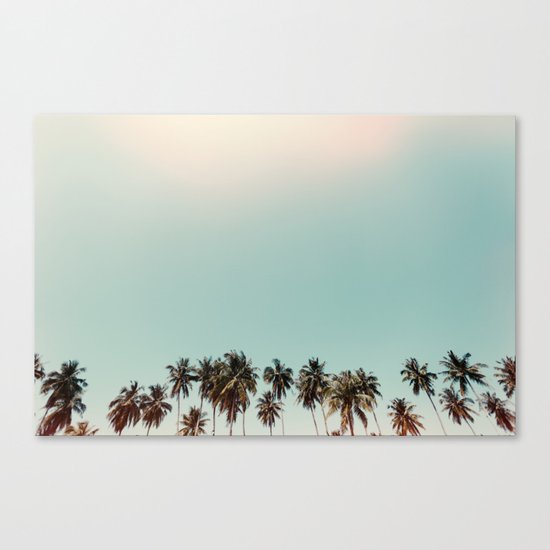 palm trees Canvas Print