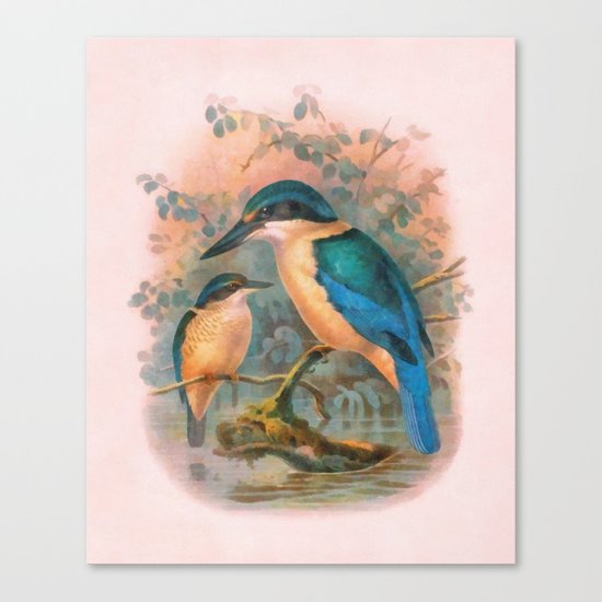 Kingfisher Canvas Print