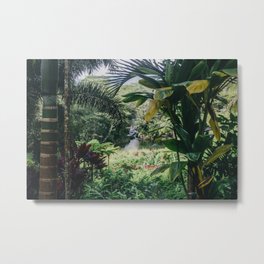 Tropical Paradise - Kauai Hawaii Metal Print