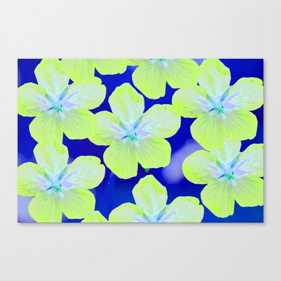 Retro Flowers II Canvas Print