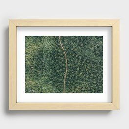 Nature Trail Recessed Framed Print