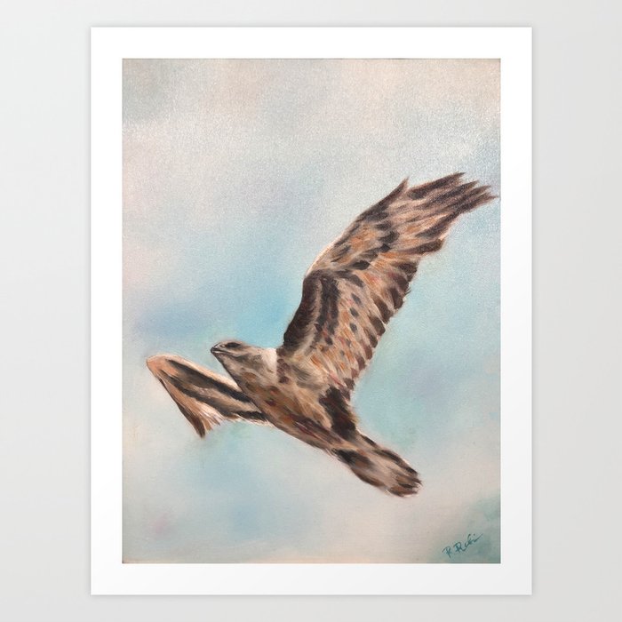 Soaring Hawk Art Print