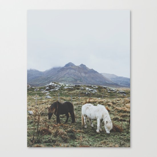 Iceland X Canvas Print
