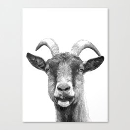 Black and White Goat Canvas Print