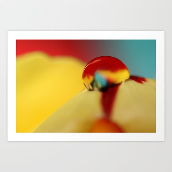Tulip Drop Against Blue Art Print
