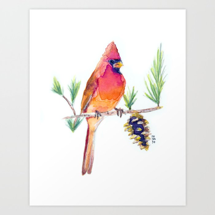 Red Cardinal Bird Watercolor Painting Art Print By Petramuller