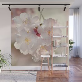 Cherry Blossoms  0210 Wall Mural