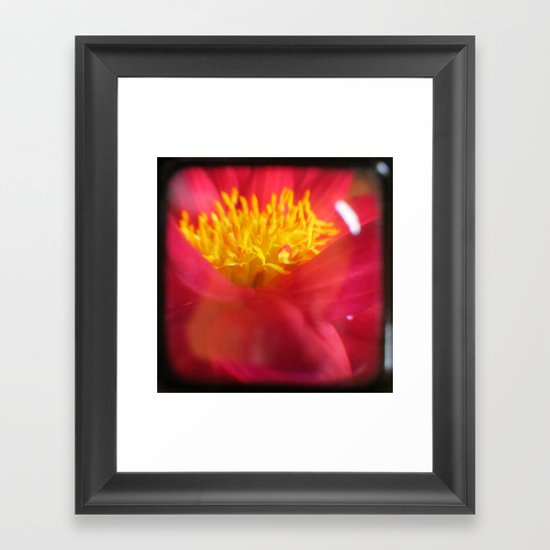 Dahlia Framed Art Print