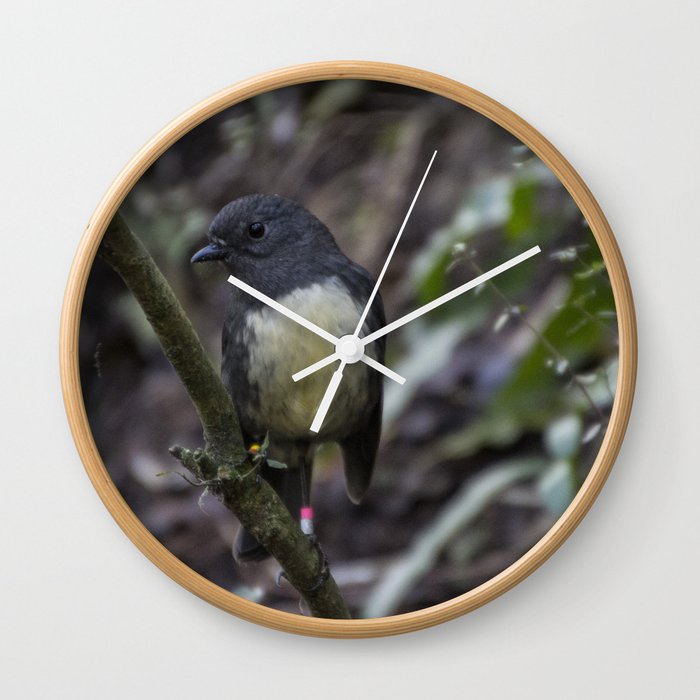 'South Island Robin' Wall Clock