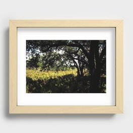 Palmettos in the shade  Recessed Framed Print