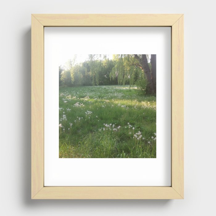 Lawn Wishes Recessed Framed Print