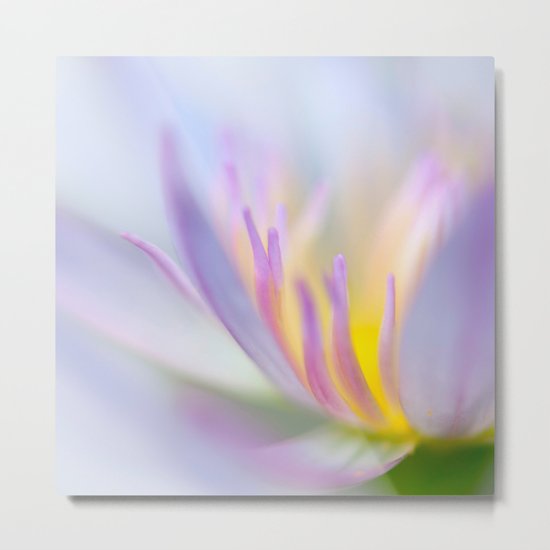 Lotus Metal Print