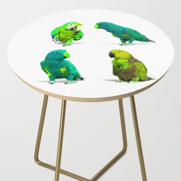 Adorable Parrot Bird Group Side Table