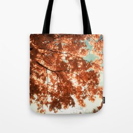 Autumn Forest Tote Bag