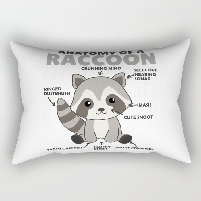 Sweet Raccoon Explanation Anatomy Of A Raccoon Rectangular Pillow