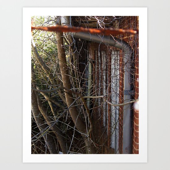 Overgrown Art Print