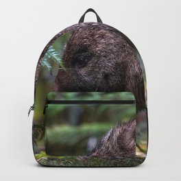 Wombat under fern - Cradle Mountain, Tasmania Backpack