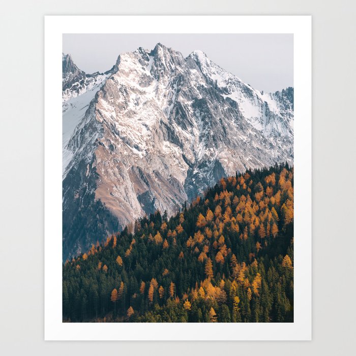 Mountain Landscape And Autumn Forest  – Landscape Photography Art Print