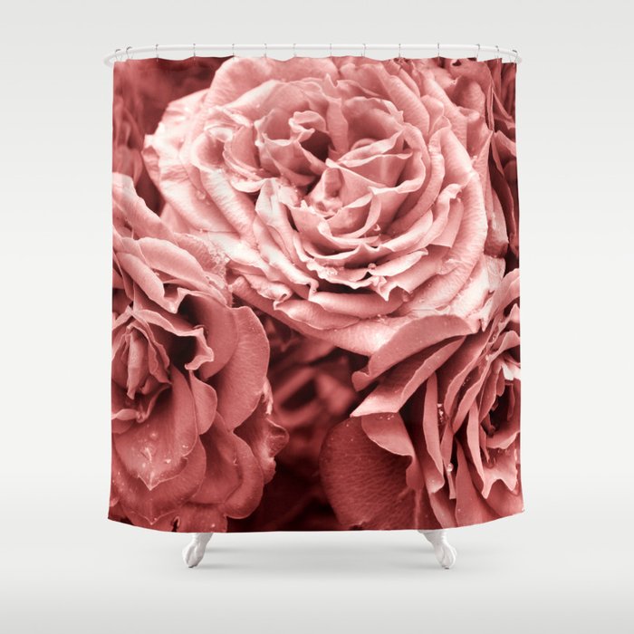 dusky pink roses flowers close-up Shower Curtain by ARTbyJWP |  Society6.com