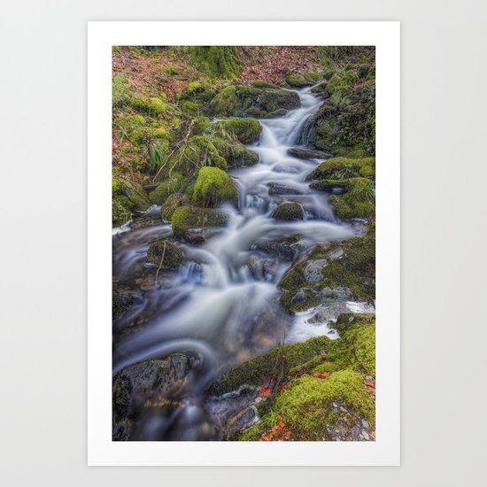 Autumn Stream Art Print